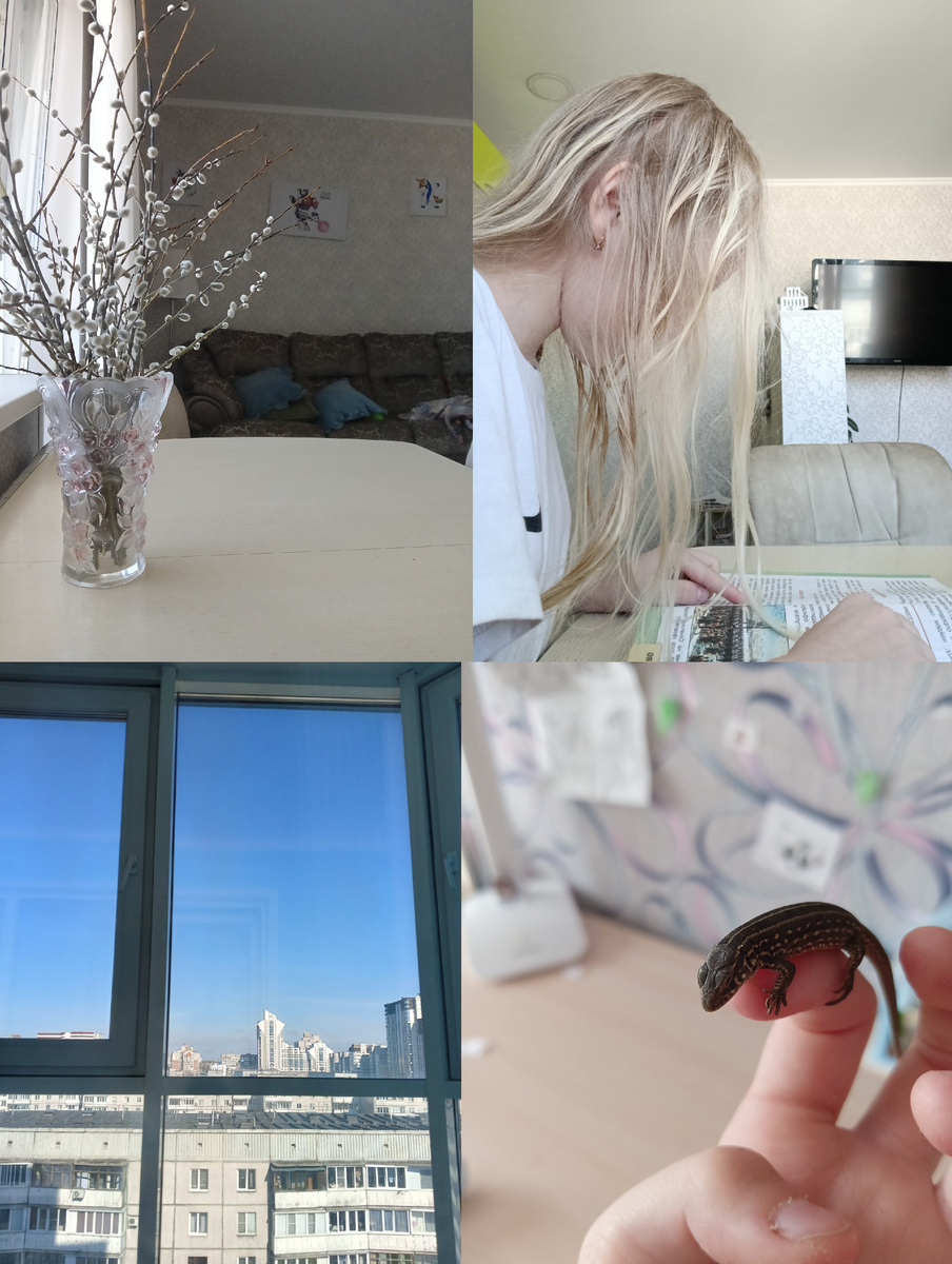 Всем привет!Сегодня я встала в 8:30.Покушала и помылась.После того я пошла читать окружающий мир.Кстати позо вчера было Вербное воскресенье:)В пятницу мы пойдём ознокамливатся с руководителем по пианино. 💗Погода сегодня очень хорошая:).Всем хорошего дня🍓🍇