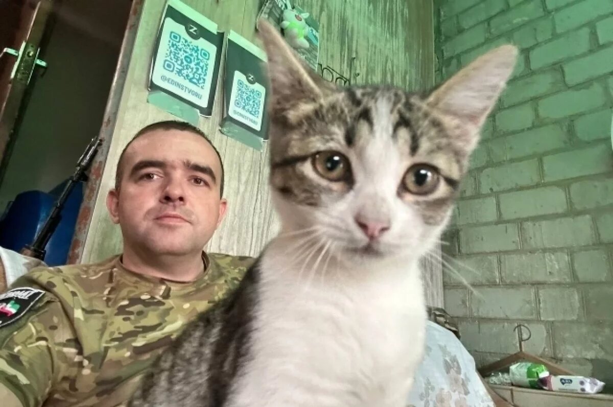    Пушистая Пуля.