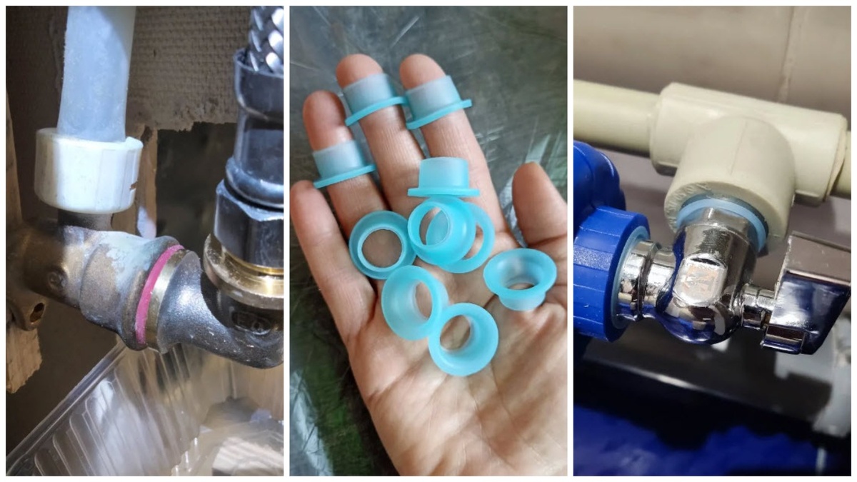 Фото: из открытых источников