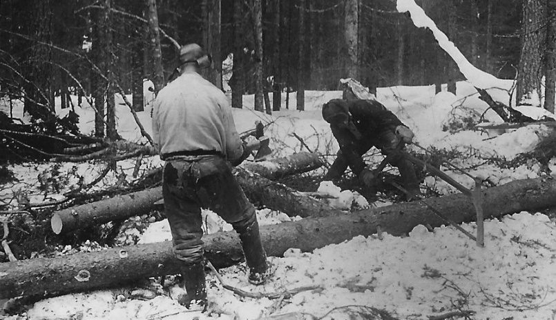 В начале 1960-х гг. в тайге КГБ удалось разыскать нациста из зондеркоманды Вейха. В леспромхозе он был на хорошем счету