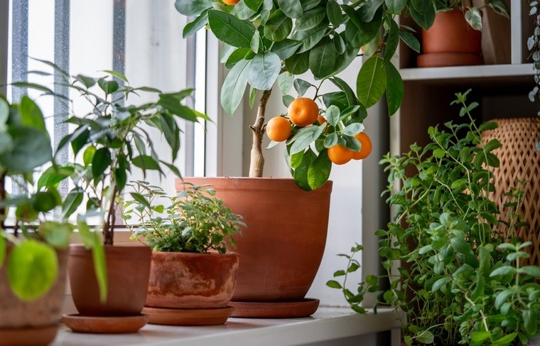    Shutterstock/FOTODOM