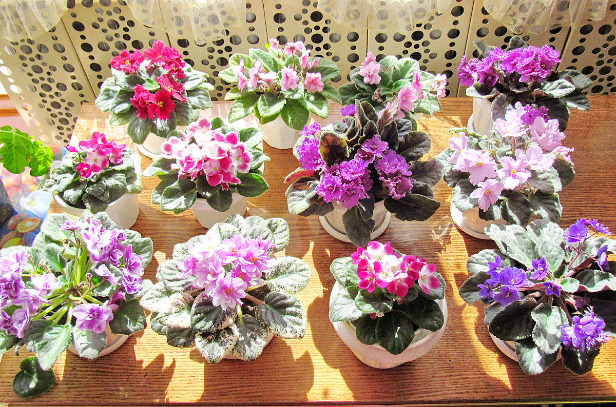 Фото из открытых источников