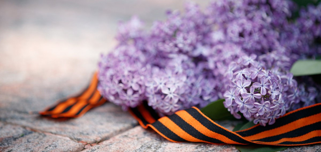    665 ветеранов в Югре получили выплату от Социального фонда в честь 80-летия Победы