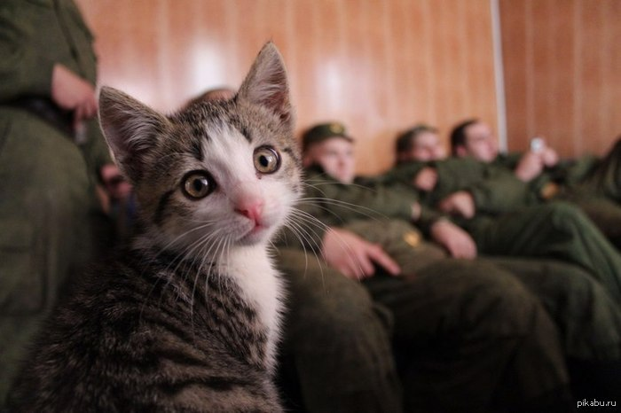 Фото с ВКонтакте для примера