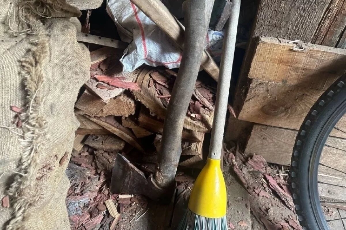    «Где мои дети»: мать-убийца поставила в тупик психиатров и следователей