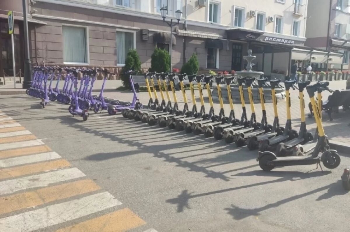    В Омске электросамокаты поставили на общественный контроль