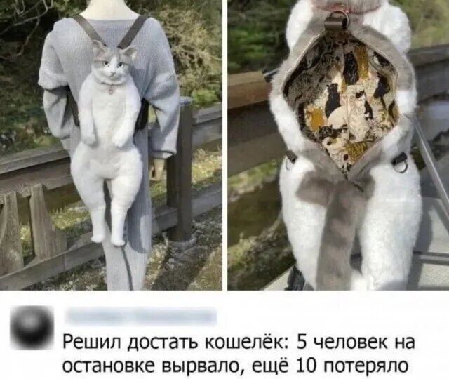 Про ограниченный доступ и его последствия: черный юмор, статья из картинок