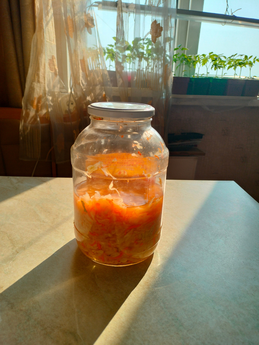 Фото автора. Квашеная капуста. Как много солнца уже у нас