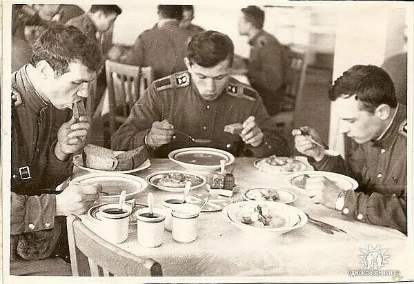 Фото Александра Бакуты.