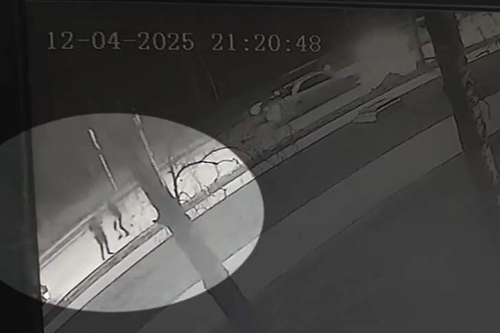    Фото ГУ МВД по НСО