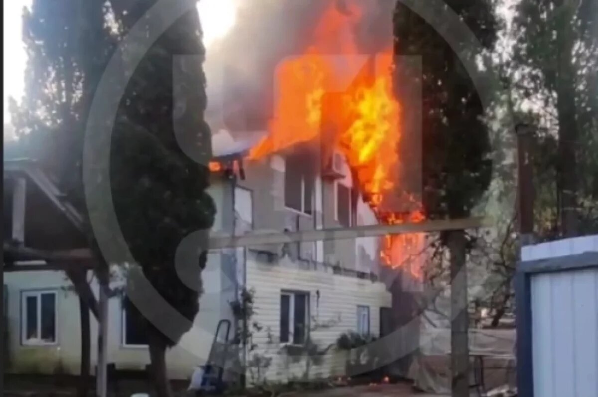    Сочинец считает енота виновником пожара, уничтожившего его двухэтажный дом