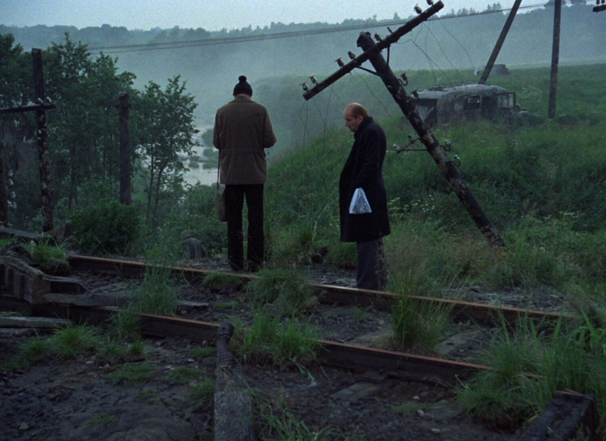 Фото взято из открытого источника