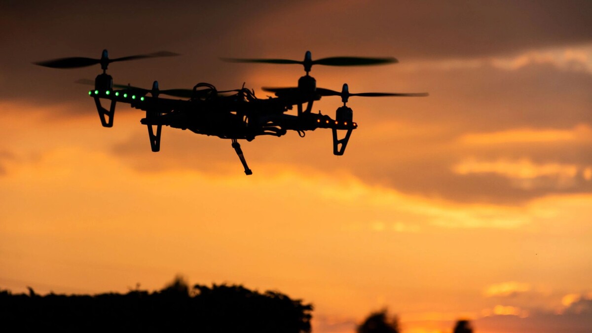    Фото: Wirestock Creators/Shutterstock/Fotodom