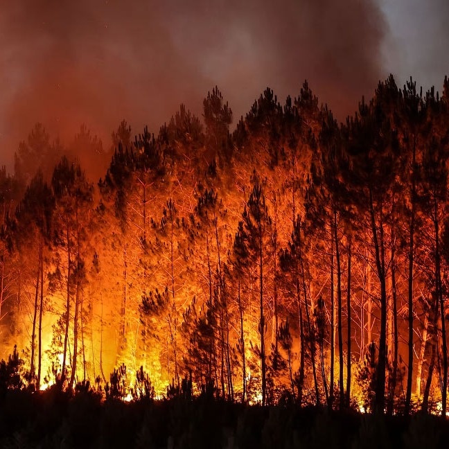 На регион приходится почти 60 процентов лесных пожаров, зарегистрированных на территории России с начала года.