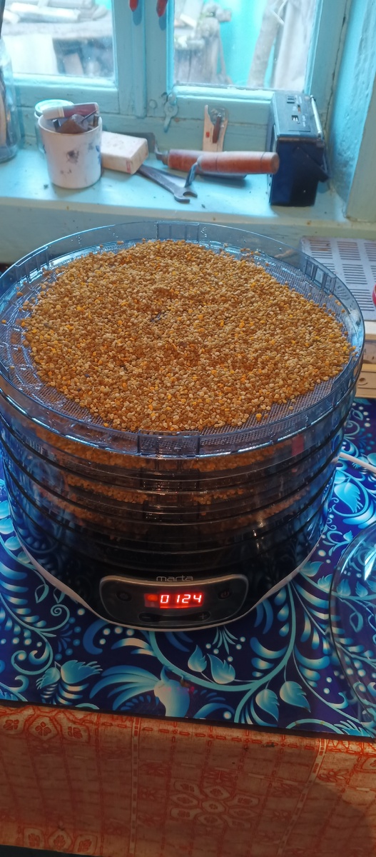 Пчелиная пыльца. 