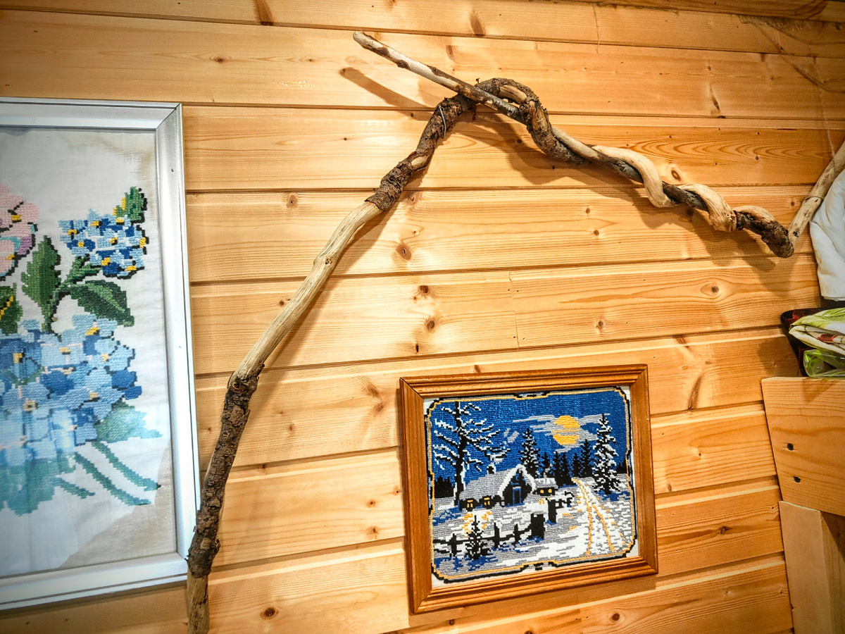 Коряжка с моря украшает стену в гостевом домике