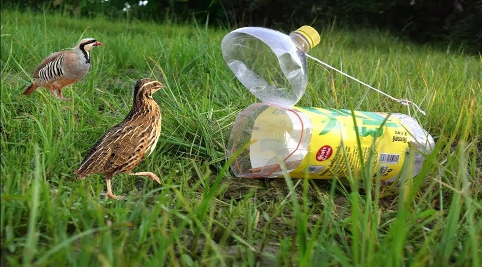 ТИХАЯ ОХОТА НА ПЕРЕПЕЛОВ Часть 2