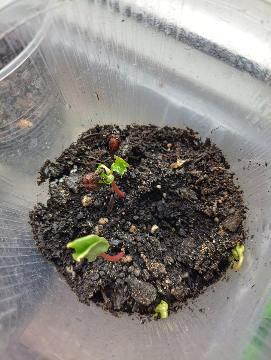 Фото автора Поспелова Евгения Ростов на Дону