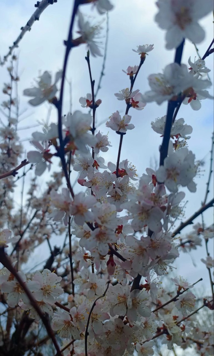 Фото из интернета