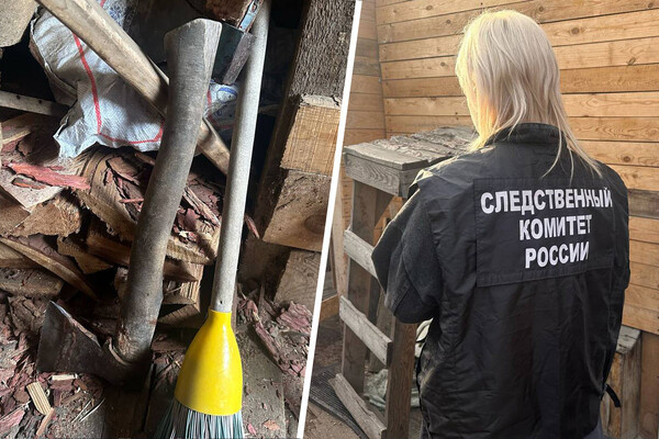 Фото: Следственный комитет