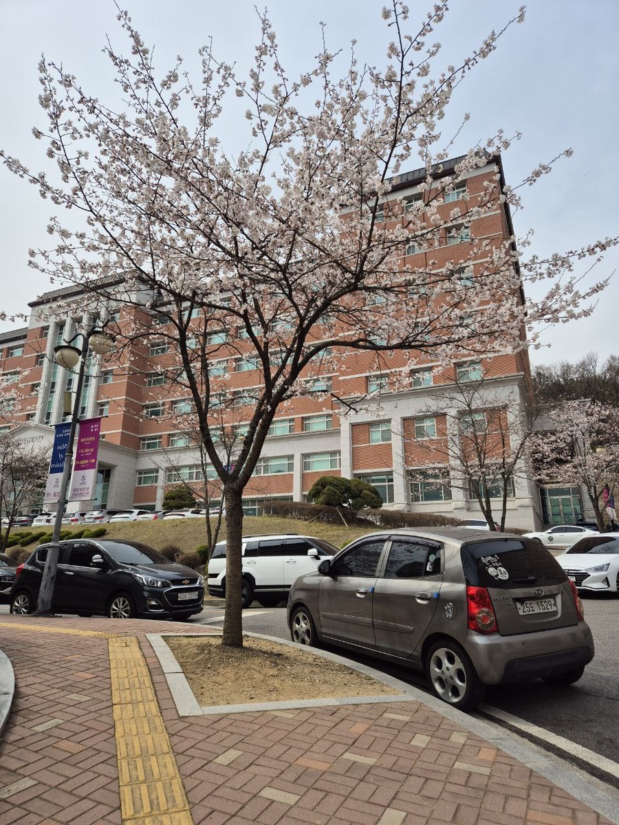 Возле Университета, где учится Маша