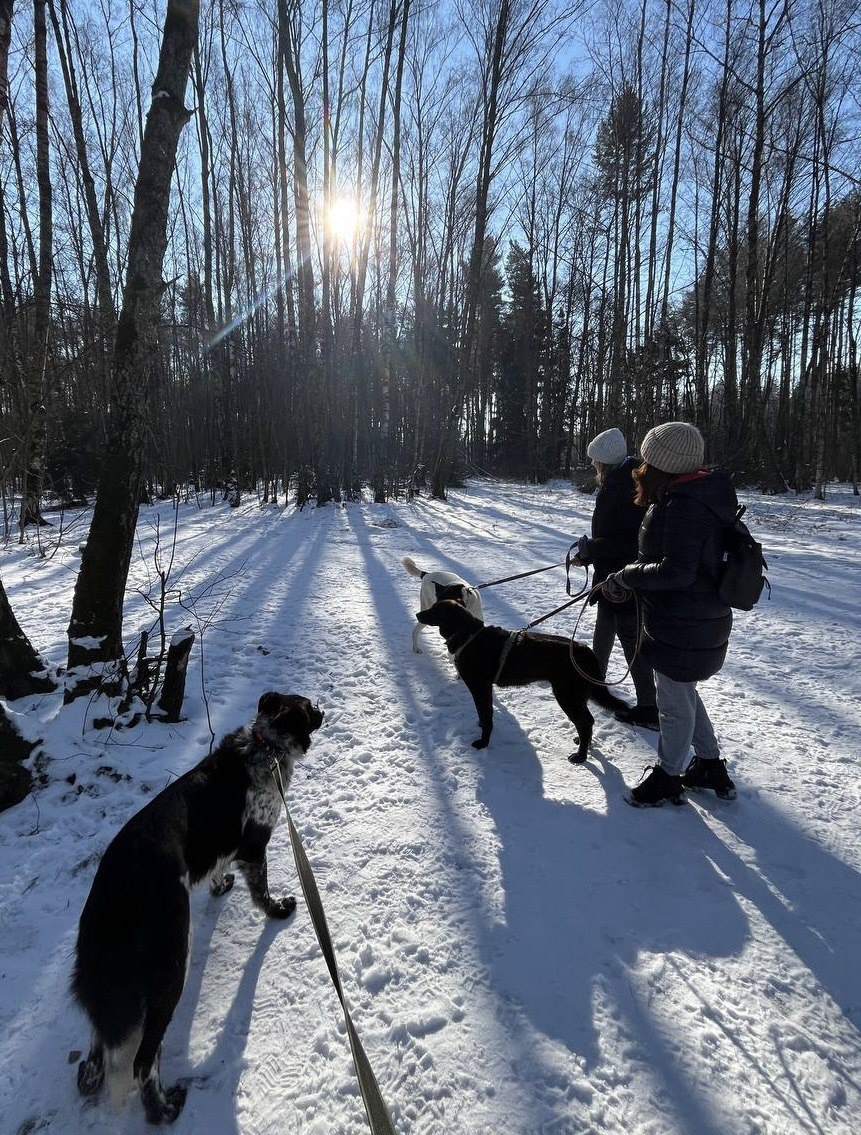 На фото Бетси, Бонни и Борис, о которых мы сегодня рассказываем