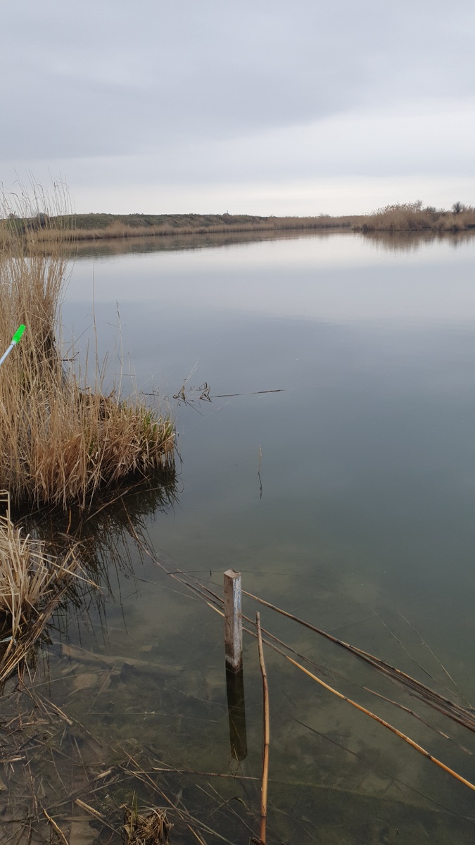 р. Карповка