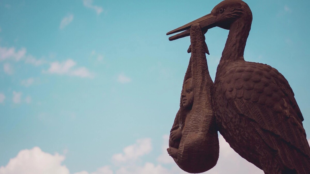     Источник: 1MI