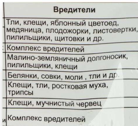 Чем обработать деревья и кустарники от вредителей и болезней. Проверенные препараты