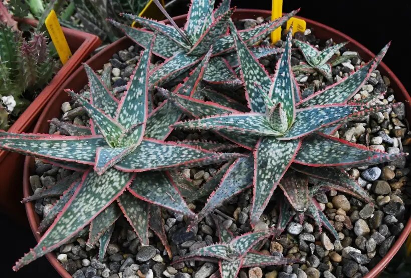     © РИА Новости. Виталий Аньков