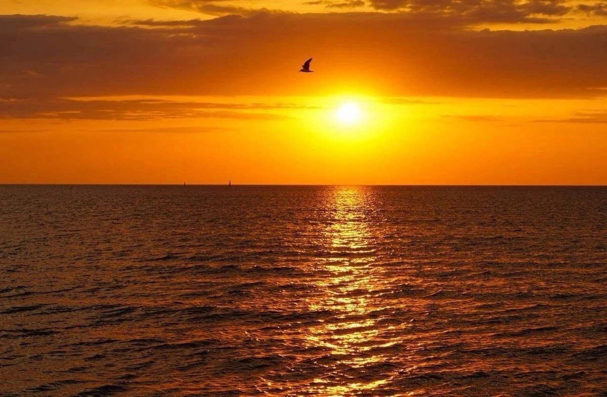 Личное фото автора канала