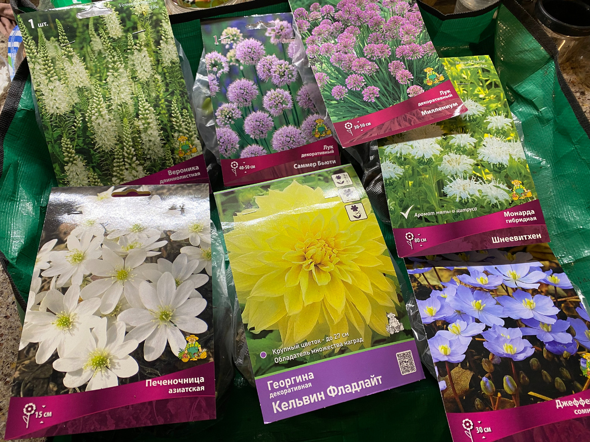 Покупки в Поиске 2025, фото автора