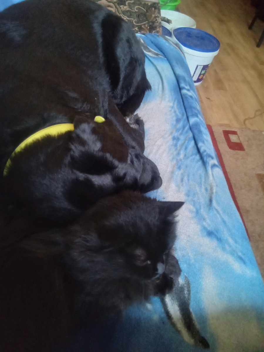 Фото автора.