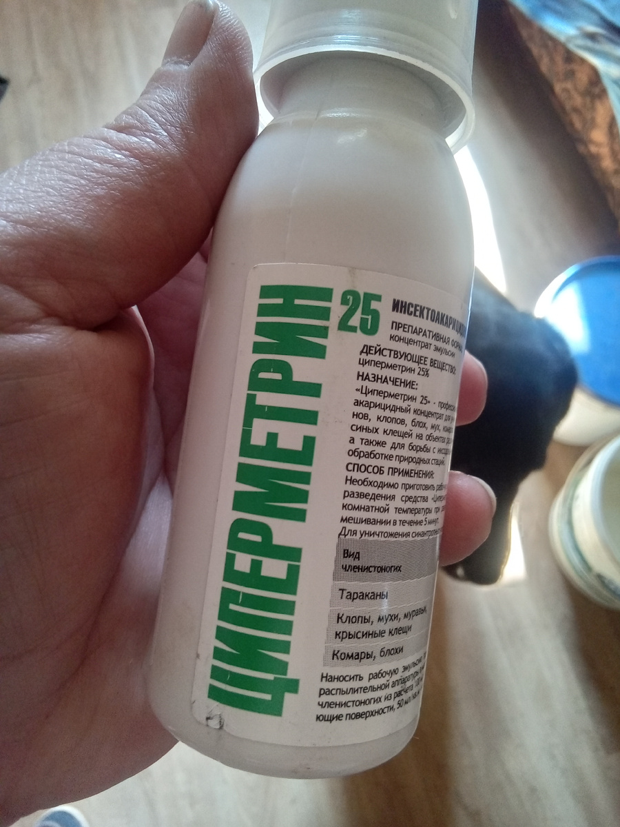 Фото автора.