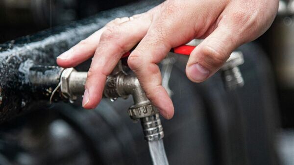    © РИА Новости Крым . Александр Дружинович