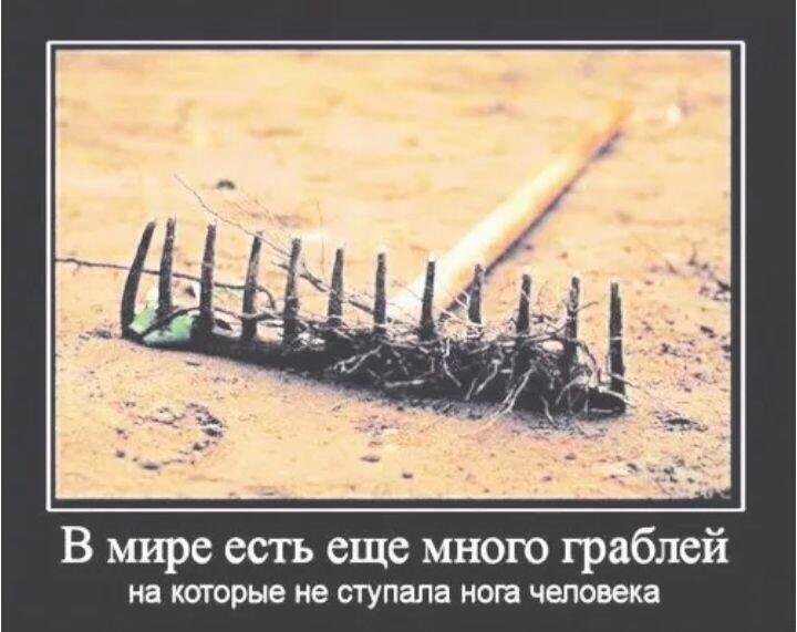 "...Когда Видишь, Мир становится уникальным и неповторимым. Это – текучий мир, в котором всё непрерывно движется, изменяется, течет..."– «Отдельная реальность»