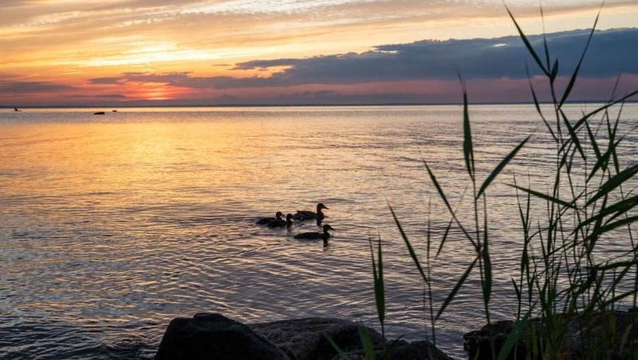    Автор фото: Тихонов Михаил