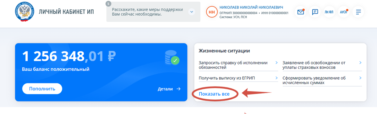 Личный кабинет ИП - Главная страница.