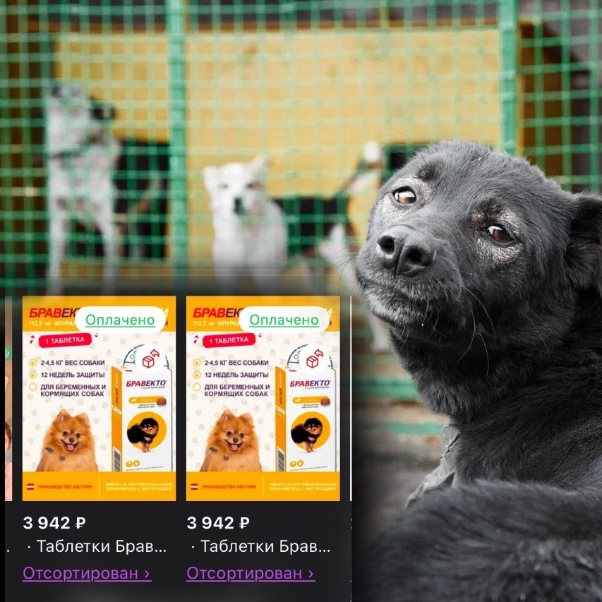 Это все, на что нам хватило денег...