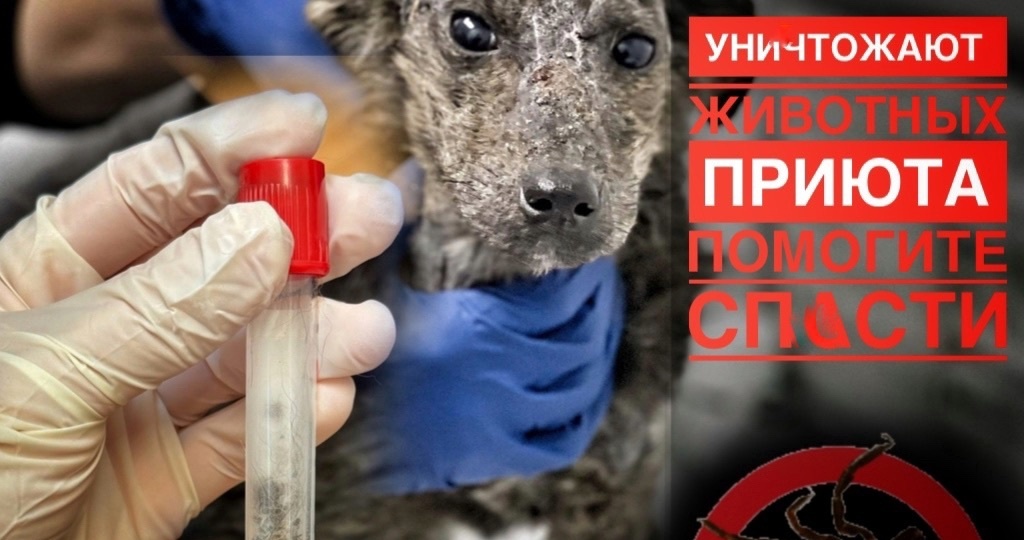 Мы опоздали… МЫ НЕ УСПЕЛИ, помогите!