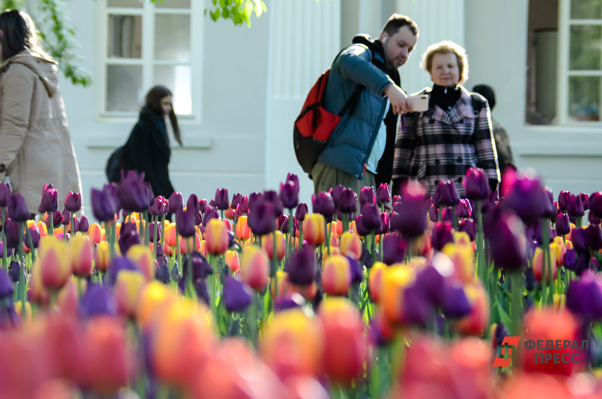 Чаплин рассказал, как россияне смогут провести майские праздники с пользой.  Фото: Фото: ФедералПресс / Татьяна Буторина
