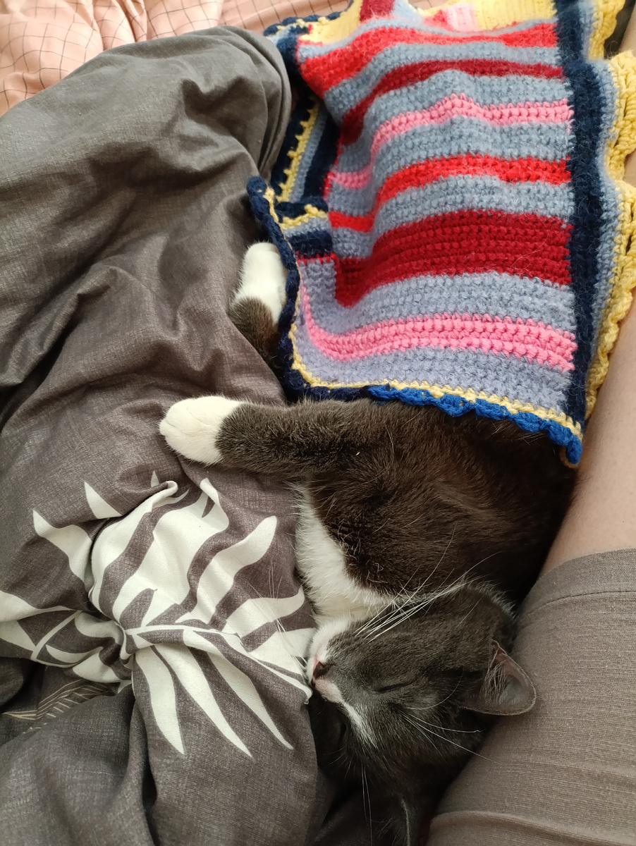 Спим с кошкой, у неё своё одеялко))) 