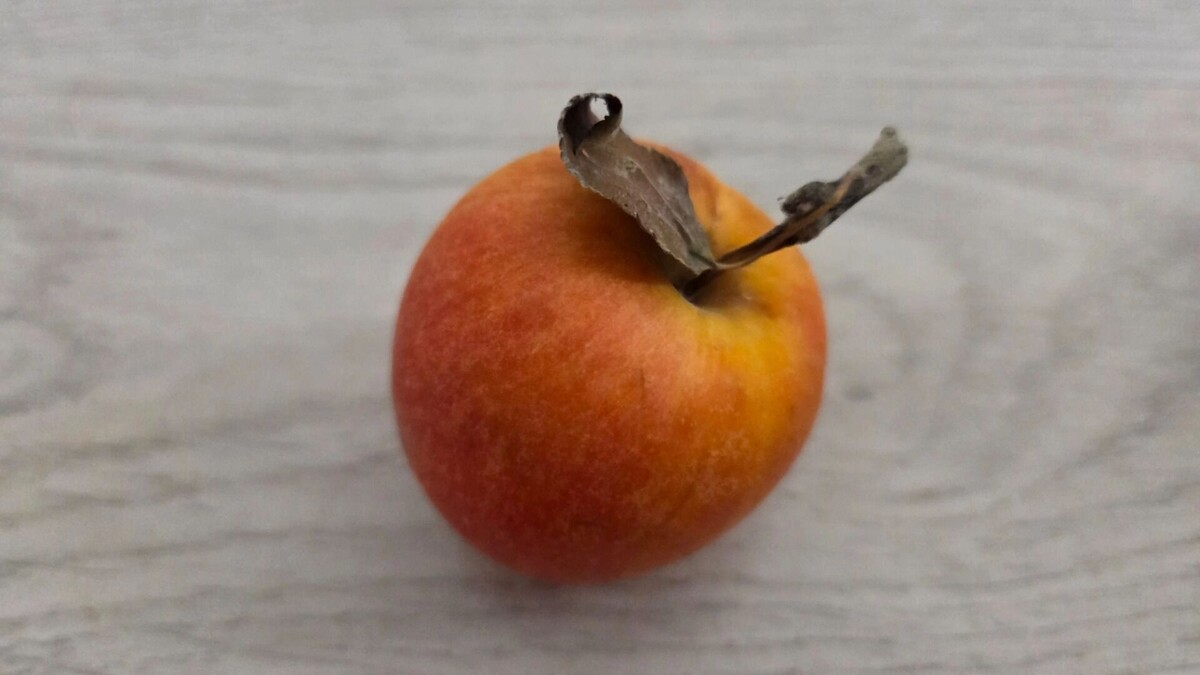     Автор: KubanPress