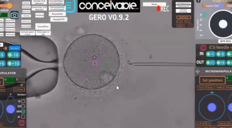   Gerardo Mendizabal-Ruiz et al. / Reproductive Biomedicine Online, 2025