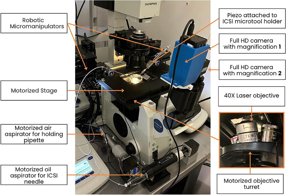   Gerardo Mendizabal-Ruiz et al. / Reproductive Biomedicine Online, 2025