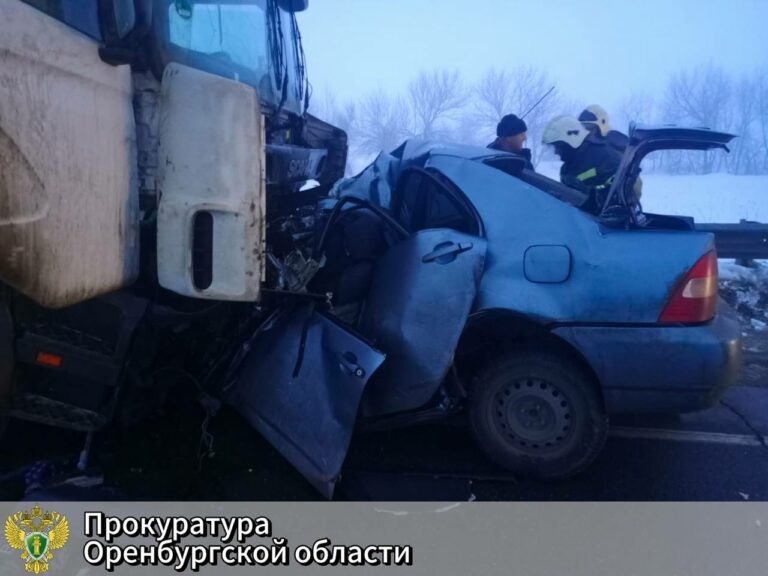    22-летний водитель грузовика ответит за смерть пяти человек на дороге в Оренбуржье Марина Шарт