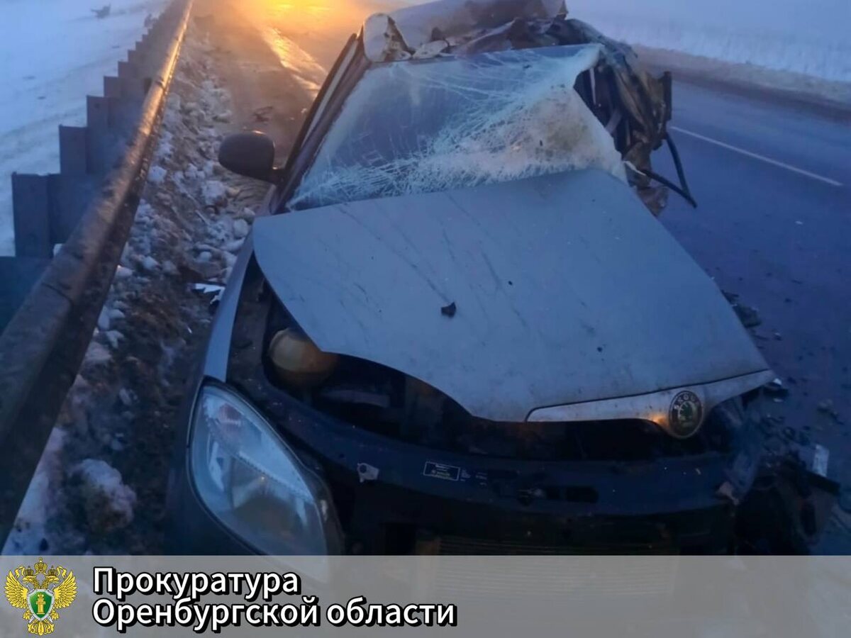    22-летний водитель грузовика ответит за смерть пяти человек на дороге в Оренбуржье Марина Шарт