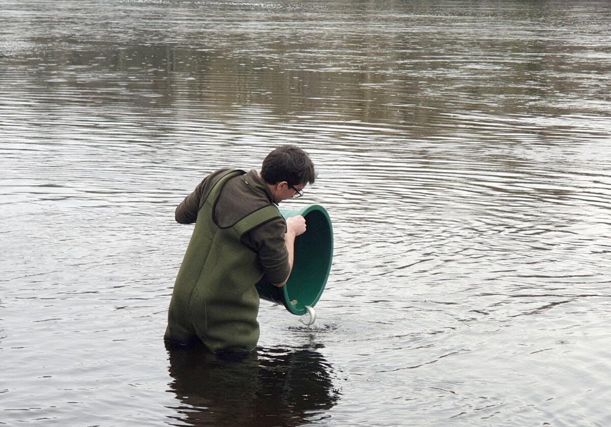 Фото: Майкл Бертрам, SLU / www.slu.se