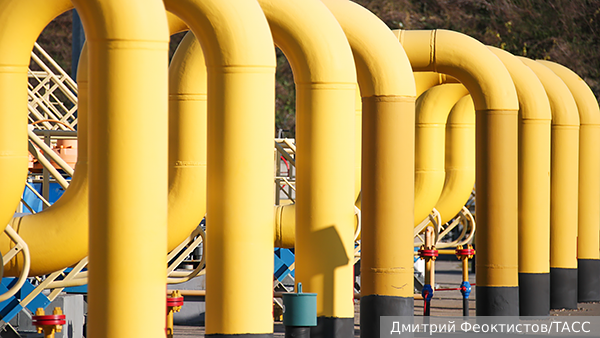     Фото: Дмитрий Феоктистов/ТАСС   
 Текст: Вера Басилая