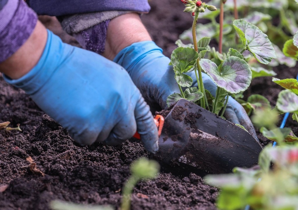    Фото: news.ru Георгий